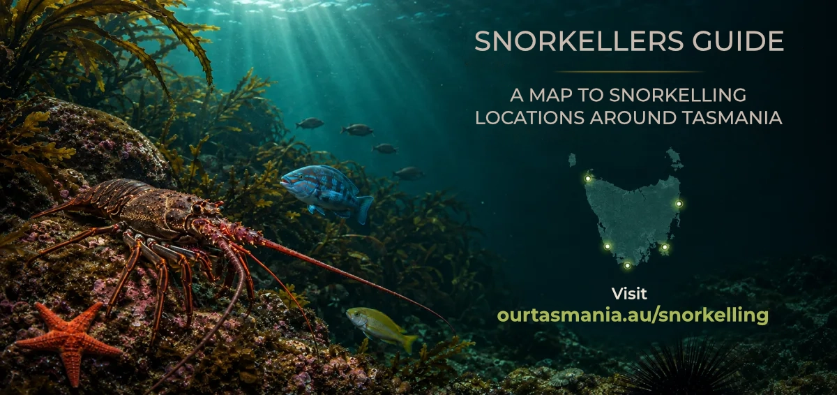 Snorkellers Guide — a map to snorkelling locations around Tasmania